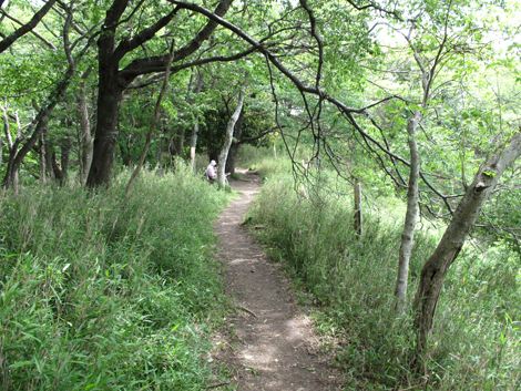 20140524hike (47)